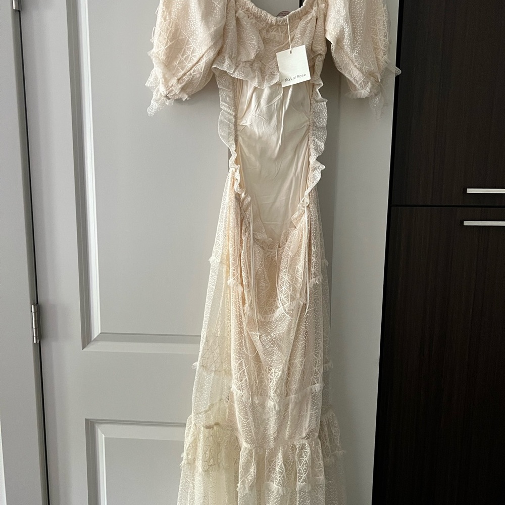 Brand new lace nude dress WITH TAGS - Picture 4 of 4